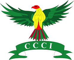 cci-logo